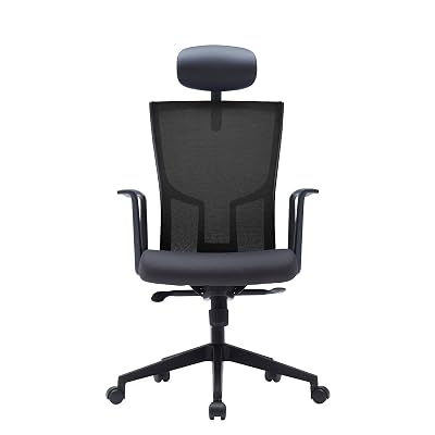 GHẾ CÔNG THÁI HỌC FURSYS SDT2 T20 - KHUNG ĐEN
