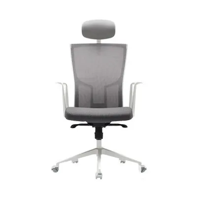 GHẾ CÔNG THÁI HỌC FURSYS  SDT2 T20 - KHUNG TRẮNG